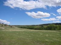 Image IMG_3237.JPG
