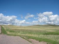 Image IMG_3239.JPG