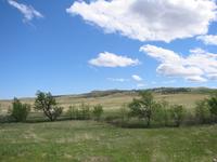Image IMG_3242.JPG