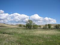 Image IMG_3243.JPG