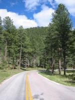 Image IMG_3259.JPG