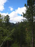Image IMG_3271.JPG
