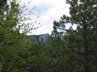 Image IMG_3274.JPG