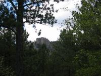 Image IMG_3275.JPG