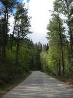 Image IMG_3277.JPG