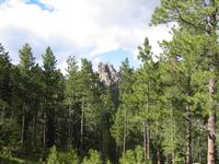 Image IMG_3285.JPG