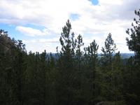 Image IMG_3293.JPG
