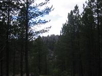 Image IMG_3295.JPG