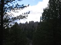 Image IMG_3296.JPG