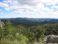 Image IMG_3302.JPG