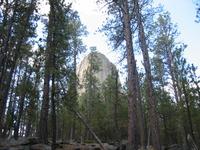 Image IMG_3380.JPG