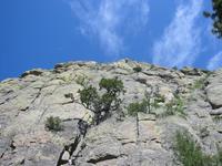 Image IMG_3397.JPG