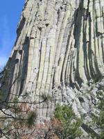 Climbers?