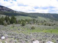 Image IMG_3460.JPG