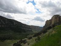 Image IMG_3468.JPG