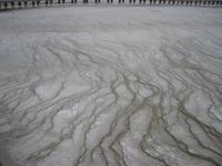 Interesting ground pattern, from the overflow of hot springs/heysers.