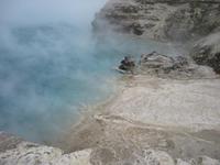 Image IMG_3556.JPG