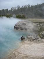 Image IMG_3557.JPG