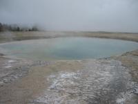 Image IMG_3568.JPG