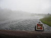 I think not swimming is advisable.