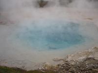 Image IMG_3620.JPG