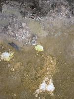More algae/bacteria growing