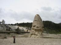Liberty Cap