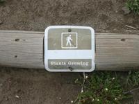 They have trails for everything.