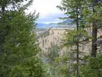 Image IMG_3802.JPG