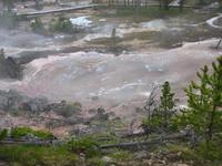 Image IMG_3874.JPG