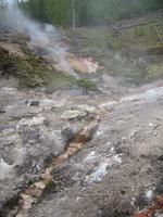 Image IMG_3875.JPG