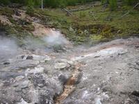 Image IMG_3876.JPG