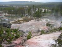 Image IMG_3878.JPG