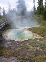 Image IMG_3953.JPG