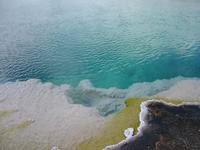 Image IMG_3971.JPG