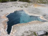 Blue Star Spring.
