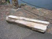 A petrified log.  Looks like wood, feels like rock, because that is what it is now.