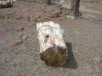 Image IMG_4142.JPG