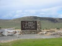 Ginkgo Petrified Forest State Park.