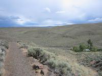 This used to be forest, with Elm, Walnut, Douglas Fir, and other types of trees.  But then it was buried by a volcano, and now it is just plains covered mostly with sage brush.
