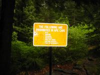 Ape Cave, a lava tube cave near Mt. St. Helens.