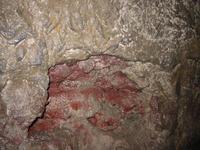 Image IMG_4175.JPG