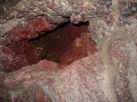 Image IMG_4177.JPG