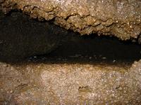 Image IMG_4179.JPG