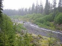 Image IMG_4217.JPG