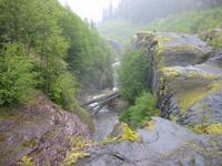 Image IMG_4220.JPG