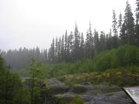 Image IMG_4238.JPG