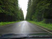 Nice tree-lined roads.