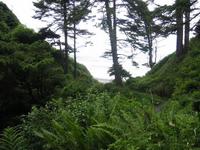 Image IMG_4265.JPG