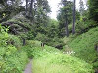 Image IMG_4267.JPG